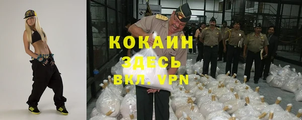 дурь Арсеньев