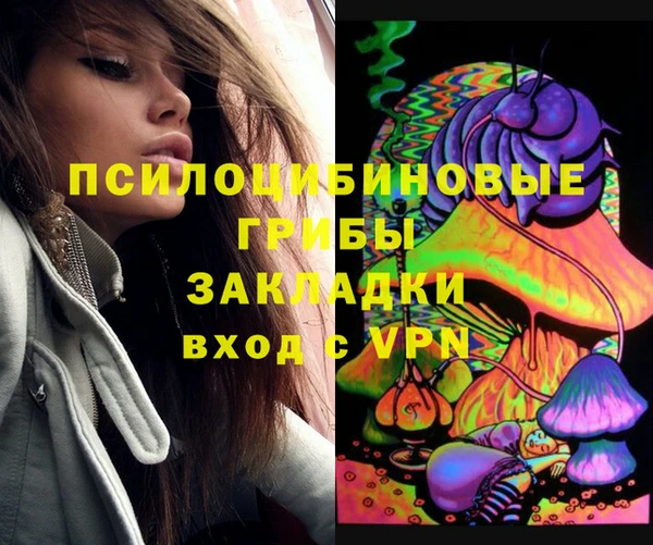 дурь Арсеньев