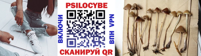 Псилоцибиновые грибы MAGIC MUSHROOMS  Ивангород 